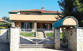 Rho Mind Villa